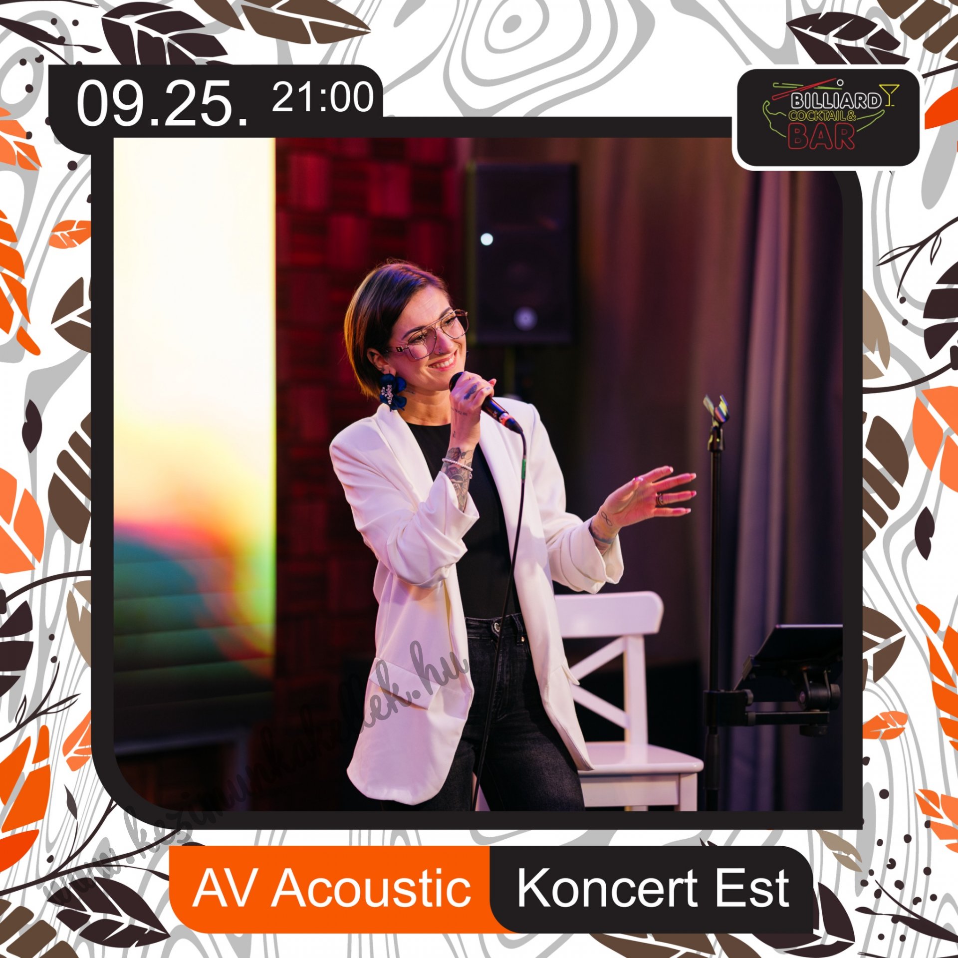 AV Acoustic koncert est